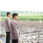 Penanaman Jagung Serentak di Kabupaten Jeneponto: Upaya Mendukung Ketahanan Pangan Nasional